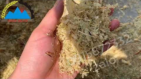 #shorts Máy chuyên dụng băm thân mía,bã mía, cỏ voi, xơ dừa, nghiền ngô,ngũ cốc thành cám 0915872332