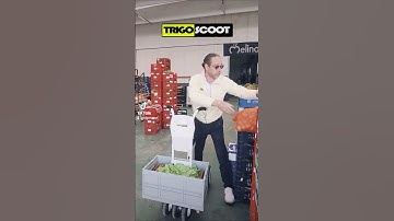 Crazy Invention Transforms Your Hoverboard / mini Segway into Powerful Micro-Mobility cargo Solution