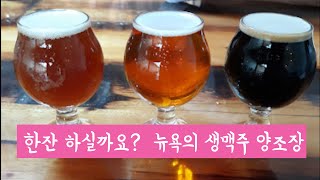 NYC's Micro Brewery #ICONYC 뉴욕 소규모 양조장 #마이크로브루어리  #생맥주