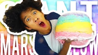 DIY GIANT Rainbow Marshmallow!!!