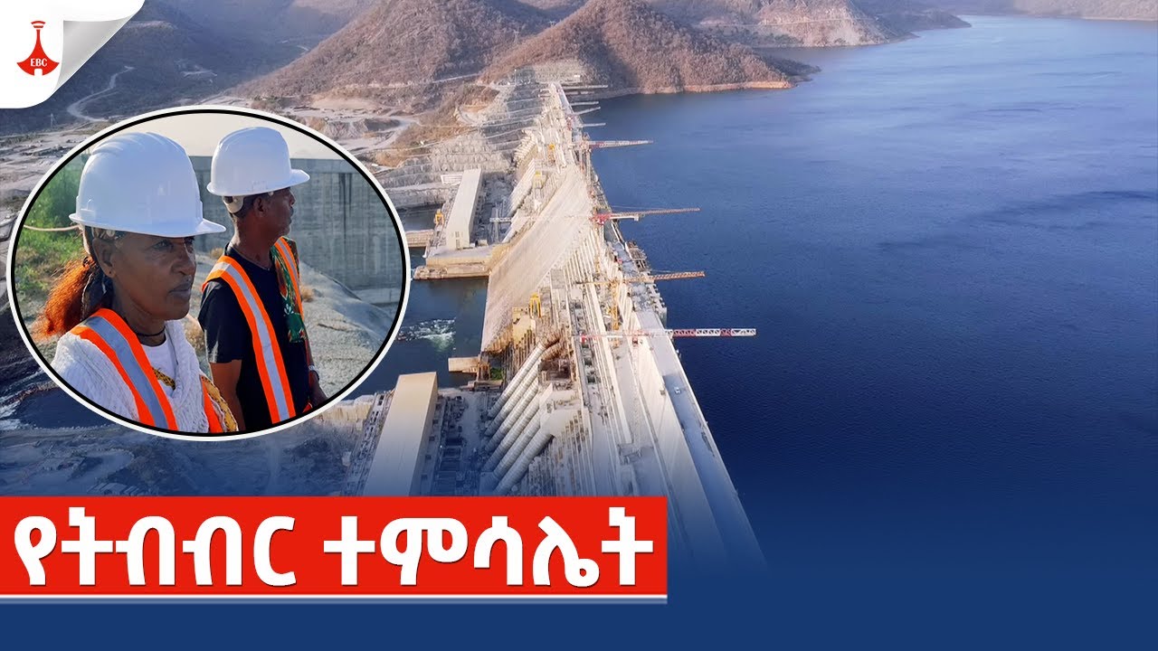 የትብብር ተምሳሌት Etv | Ethiopia | News zena