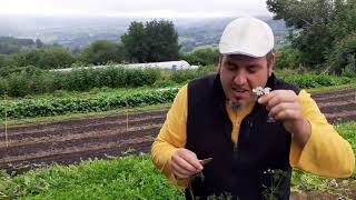 Come Cantabria Local, Ep. 6