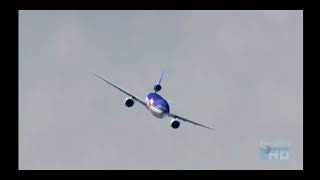 Federal Express Flight 705 - Fight For Your Life