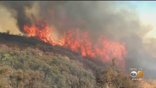 Around 8 p.m., officials reported the apple fire spread to 12,000
acres at 0% containment, nearly tripling in size from just a few hours
earlier. hermela are...