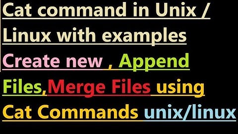 Cat command in Unix with Examples