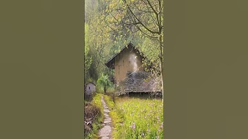 الله لطيف بعباده \تلاوة خاشعة بصوت الشيخ عبدالله الموسى