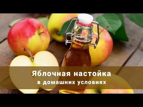 Яблочная настойка в домашних условиях. Как сделать яблочную настойку?
