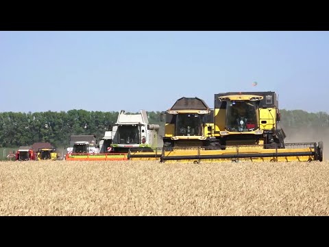 В Нурлатском районе продолжается уборка урожая