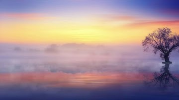 EHMMS Daily Announcements 11/19/25