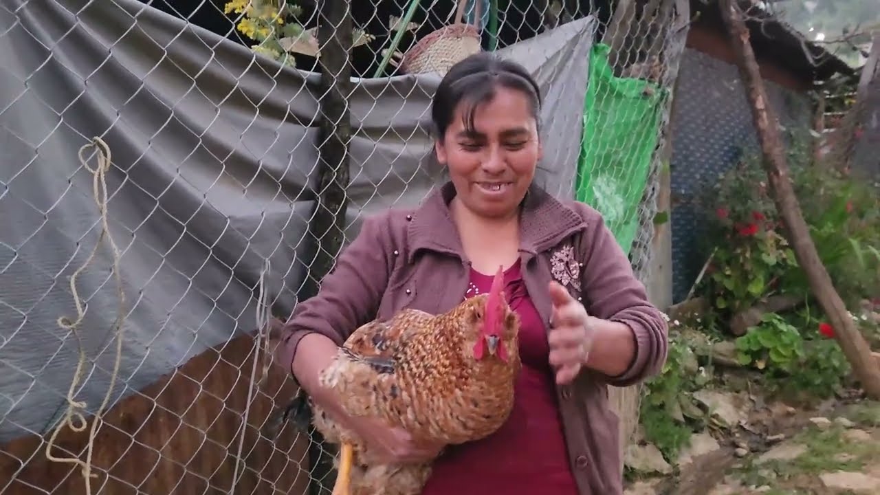 ✅️😃Este animalito le regalaron a mi mamá en el dia de san valentin 