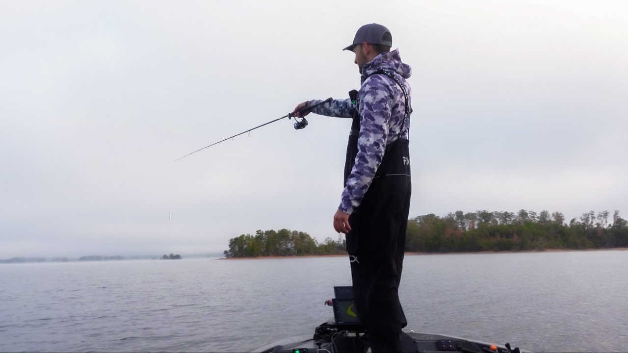 SCHOOLING FISH LEADS ME TO MEGA SCHOOL!! (Lake Hartwell)