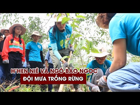 Video H'Hen Niê và Ngô Bảo Ngọc đội mưa trồng rừng, trao lời... - youtube