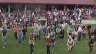 Rocklin High School Staff Flash Mob 2015