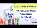 Human Body Systems Quiz