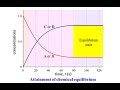 Chemical Equilibrium Quiz