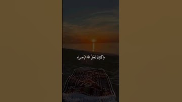 الراحه النفسيه _ القرآن الكريم _ آيات قصيره انستكرام _ حالات واتس اب #الشيخ_ماهر_المعيقلي
