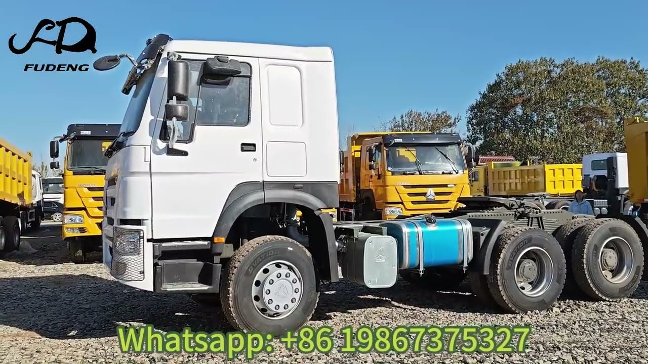 2018 Year Used Sinotruck HOWO 6x4 371HP Tipper Truck Refurbished Horse Truck In Good Condition