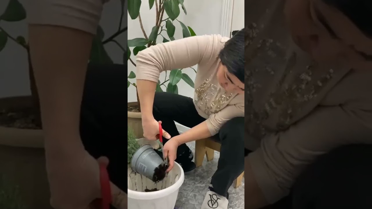 19 января 2026 г.