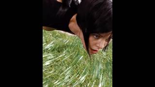 Aeon Flux Vs Death Traps When Girl Power Meets Ninja-Level Reflexes