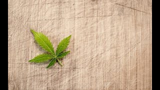Is Marijuana Good for Depression?