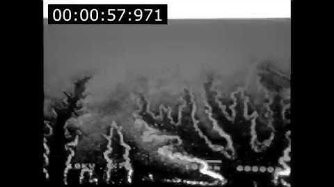 Fractal Degradation of the Polymer Sapmple (Low-Resolution Stroboscopic Imaging)