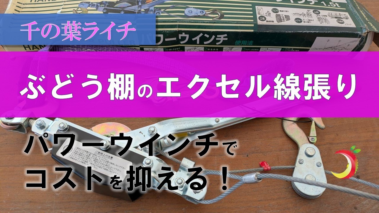 【ぶどう棚のエクセル線張り】パワーウインチでコストを抑える！