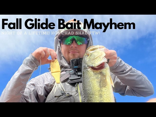 NEW Glide Bait was Key to Tournament Success 