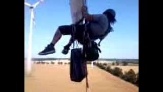 .....Little Ti.... Work Hard... But Not For Free...