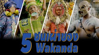 5 ชนเผ่า ของ Wakanda ใน MCU