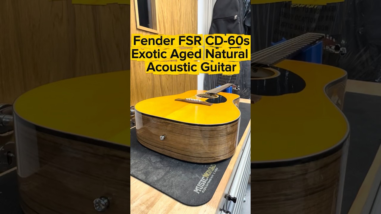 Fender CD-60S FSR Exotic Full Setup 🔧✨ Truss Rod, Action, Frets
