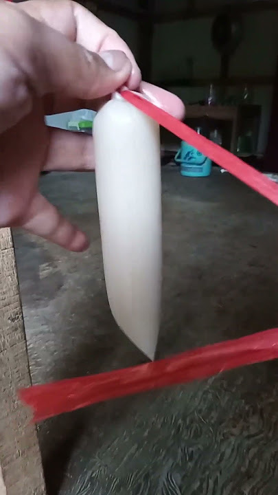 Cara mengikat es lilin tanpa karet dengan mudah
