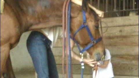 Boogies Chexy Chic    ***For up-to-date info, price, etc., go to our website***