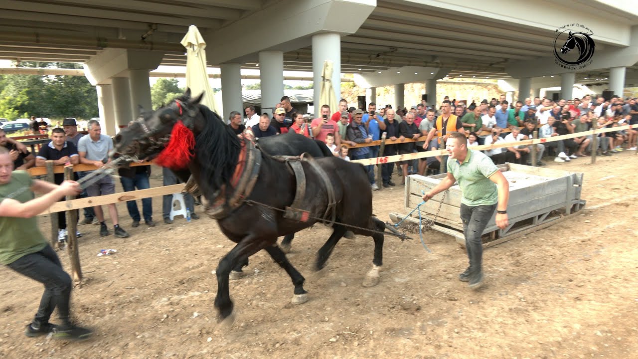 - GRBOVIĆ NASTAVIO POBJEDNIČKI NIZ SREDNJE I NA SANKAMA U LAJKOVCU -