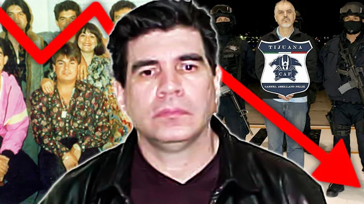 Rise & Fall of the Arellano Felix Organization