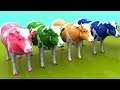 Pelajari warna-warna dengan warna permen karet dan balon hewan dengan Kudo #15