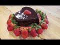 Amazing Chocolate Cake ONLY 2 Ingredients + 2 Ingredient Ganache -Gluten Free- The Hillbilly Kitchen