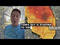 Tree pollen levels are high in Tampa