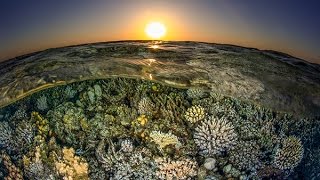 RED SEA (Life &amp; Landscapes)  360º