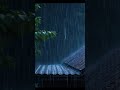 Rain Forest Sounds for Deep Sleep & Relaxation 🌿 | Calm Nature White Noise #sleepmeditation #shorts