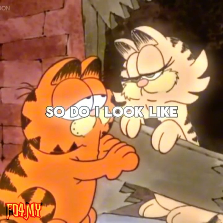 I totally didn’t cry during this episode #garfield #tylerthecreator ...