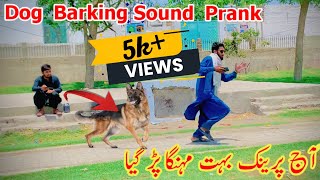 DOG BARKING SOUND | FUNNY PRANK | BR FUNNY |