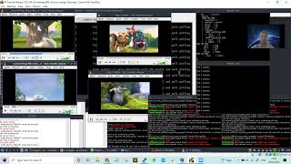 VCC network traffic management using P4 for improving application performance. Part 1