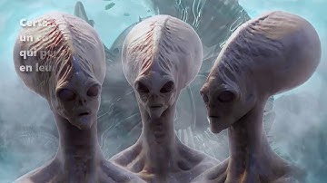 Les 24 vieillards du livre de l’Apocalypse (révisé)