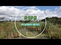 Wildlife Photography - RSPB Pulborough Brooks
