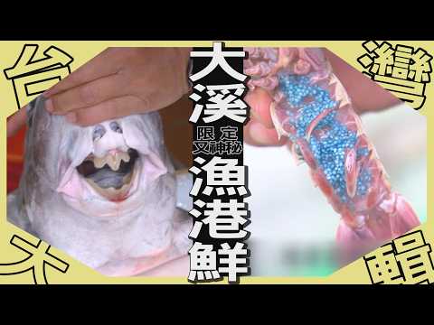 《台灣大輯》【抓了2.30年首見 深海幽靈黑線銀鮫 / 活化石超軟骨 吸睛兔子魚肉質鮮嫩 / 從漁港到海灘 宜蘭最狂食尚饗宴】台灣第一等