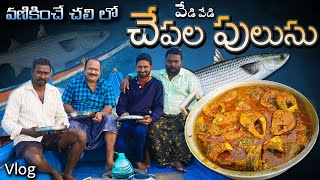 మొదటిసారి బోట్ లో వంట చేశాను || Meva chepala pulusu || Cooking in boat | Krishna river | Mullet fish