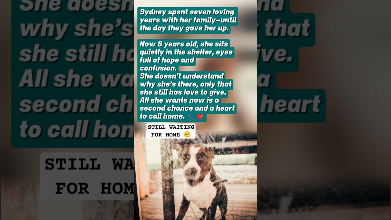 After 7 Years Surrendered, Still Waiting 🥺💔 