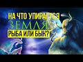 На чем стоит земля, согласно Исламу?