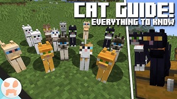 CAT GUIDE! | Cat Info & Variants| Minecraft 1.14 - Village and Pillage