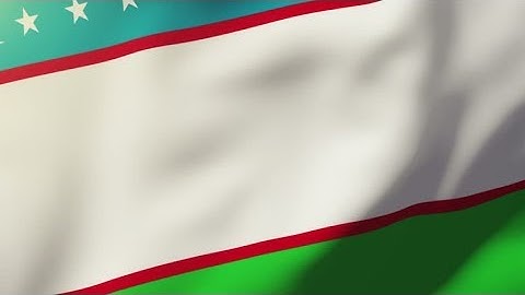4K Uzbekistan flag waving in the wind. Looping sun rises style. Animation loop Stock video